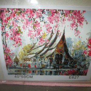 Paint by Numbers kits (2)